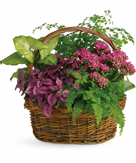 Secret Garden Basket