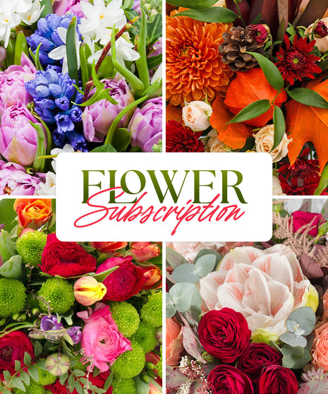 Floral Subscription - Designer's Choice